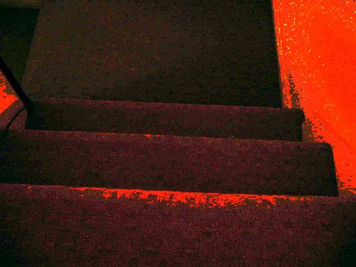 ecarpet